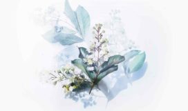 evie-shaffer-501641-unsplash masterstudy_placeholder